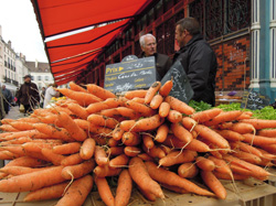 carrots Dijon