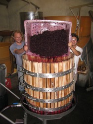 Winemaking in France