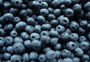 Limousin Blueberries