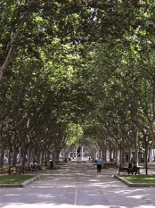 the central park in Perpignan